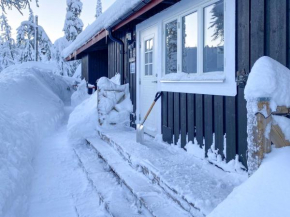 Trysilfjellet Nord 1071B